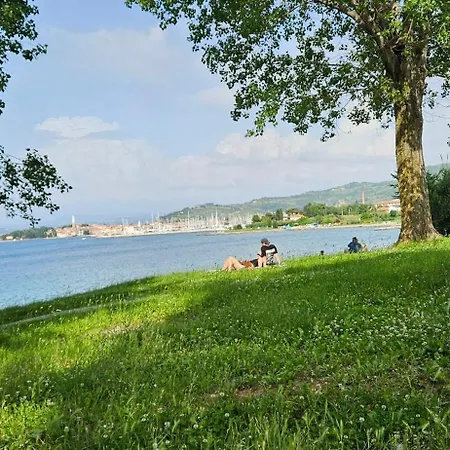 公寓 Laguna 40 With Covered Parking 伊佐拉